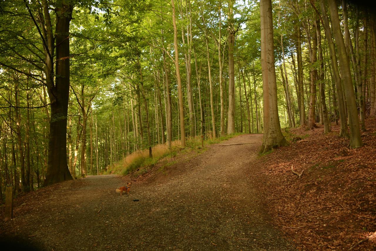 Vejle City Camping Εξωτερικό φωτογραφία